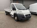Fiat Ducato Ducato Pritsche#AHK#Mwst Ausweisbar Schwarz - thumbnail 1