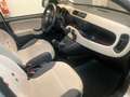 Fiat Panda 1.2 Easy 69cv - UNICO PROPR.-MECCANICA OK-5 POSTI Argento - thumbnail 11