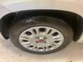 Fiat Panda 1.2 Easy 69cv - UNICO PROPR.-MECCANICA OK-5 POSTI Argento - thumbnail 15