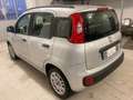 Fiat Panda 1.2 Easy 69cv - UNICO PROPR.-MECCANICA OK-5 POSTI Argento - thumbnail 6