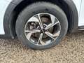 Kia XCeed 1.5 MHEV iMT Drive 118kW (160CV) Blanco - thumbnail 20