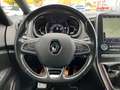 Renault Scenic IV Black Edition/Pano/LED/Kamera/SHZ Schwarz - thumbnail 14