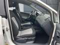 SEAT Ibiza Lim. Style Salsa AUTOMATIK *KLIM*ALU*NAV* Blanc - thumbnail 5