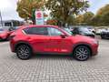 Mazda CX-5 2,2 Diesel Automatik Sports-Line AWD Rot - thumbnail 7