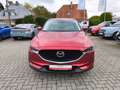 Mazda CX-5 2,2 Diesel Automatik Sports-Line AWD Rot - thumbnail 9