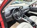 Mazda CX-5 2,2 Diesel Automatik Sports-Line AWD Rot - thumbnail 13