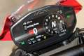 Ducati Monster 937 PLUS - thumbnail 6
