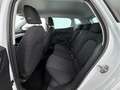 SEAT Ibiza 1.0 TSI Style Edition LED SITZHZG R-CAM PDC Weiß - thumbnail 23
