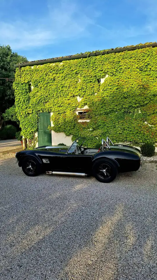 AC Cobra, foto 3