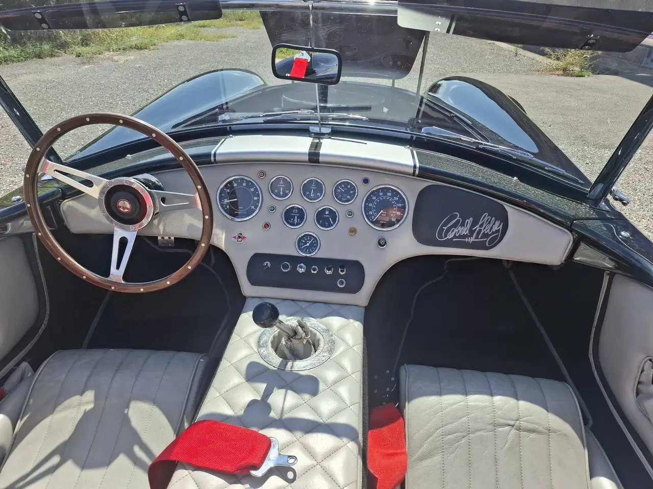 AC Cobra, foto 2