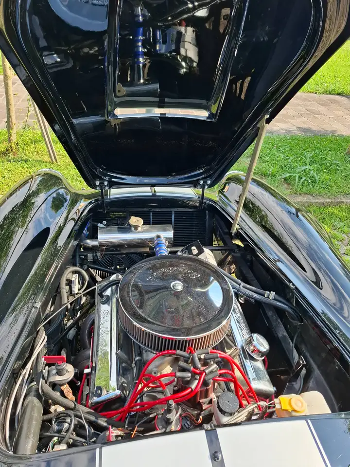 AC Cobra, foto 5