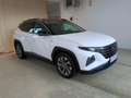 Hyundai TUCSON Tucson NX4 Trend Line 1,6 T-GDi 2WD 48V *AHK* Weiß - thumbnail 1