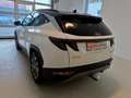 Hyundai TUCSON Tucson NX4 Trend Line 1,6 T-GDi 2WD 48V *AHK* Weiß - thumbnail 4