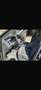 Audi Q5 2.0 tdi Business quattro 190cv s-tronic - thumbnail 8