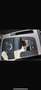 Audi Q5 2.0 tdi Business quattro 190cv s-tronic - thumbnail 4