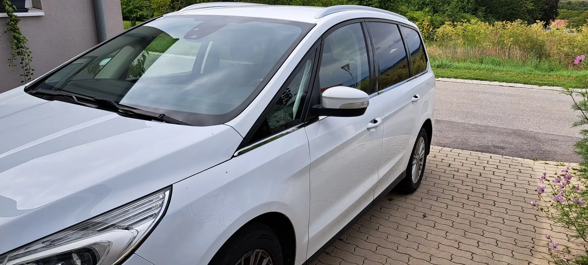 Ford Galaxy Galaxy 2,0 EcoBlue SCR Titanium Aut. Titanium Weiß - 1