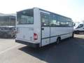 Mercedes-Benz Vario 813 (Stock ID 587) Alb - thumbnail 4