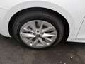 Skoda Octavia Selection 1.5TSI DSG / Navi, Matrix, RFK Weiß - thumbnail 16