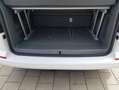 Volkswagen T6.1 California 6.1 Camper Edition 150 PS 4M Fahrassistenz Pa. ... Weiß - thumbnail 16