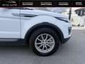 Land Rover Range Rover EVOQUE 2.0 TD4 150 SE Dynamic BVA Mark Blanc - thumbnail 5