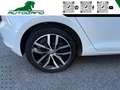 Volkswagen Golf 1.6 TDI 5p. Highline finanziabile Weiß - thumbnail 16
