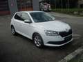 Skoda Fabia 1,0 Tsi Alu Pdc Sitzheizung Weiß - thumbnail 3