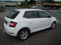 Skoda Fabia 1,0 Tsi Alu Pdc Sitzheizung Weiß - thumbnail 4