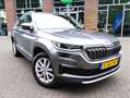 Skoda Kodiaq 1.5 TSI DSG Business Edition Plus Wegklapbare trek Gris - thumbnail 9