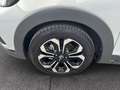 Honda Jazz Crosstar 1.5 eCVT Executive AUT Weiß - thumbnail 21