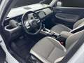 Honda Jazz Crosstar 1.5 eCVT Executive AUT Weiß - thumbnail 7