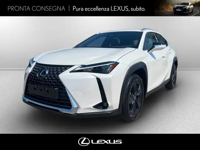 Lexus UX 300h 300h 2.0 urban 2wd 152cv cvt