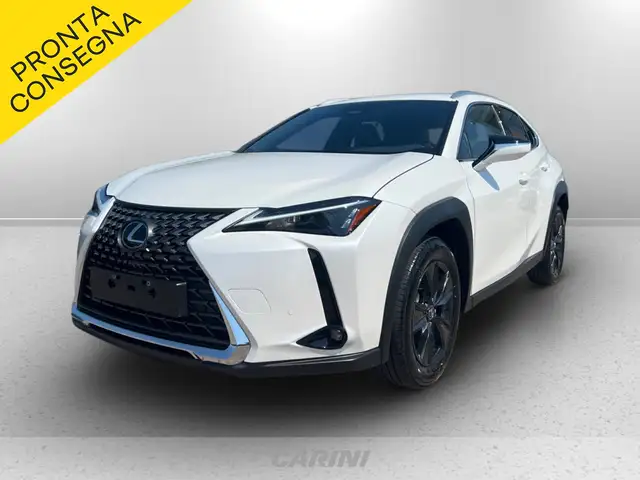 Lexus UX 300h 300h 2.0 urban 2wd cvt