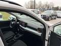SEAT Arona 1.0 TGI ANCHE PER NEOPATENTATI Bianco - thumbnail 12