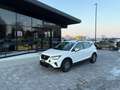 SEAT Arona 1.0 TGI ANCHE PER NEOPATENTATI Bianco - thumbnail 2