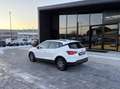 SEAT Arona 1.0 TGI ANCHE PER NEOPATENTATI Bianco - thumbnail 8