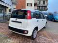 Fiat Panda 1.2 Pop 69cv OK NEOPATENTATO Blanco - thumbnail 5