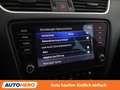 Skoda Octavia 1.6 TDI Style Limited 4x4 Schwarz - thumbnail 26