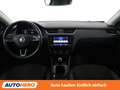Skoda Octavia 1.6 TDI Style Limited 4x4 Schwarz - thumbnail 12