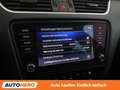 Skoda Octavia 1.6 TDI Style Limited 4x4 Schwarz - thumbnail 27