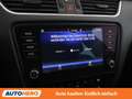 Skoda Octavia 1.6 TDI Style Limited 4x4 Schwarz - thumbnail 24