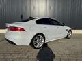 Jaguar XE 20d Aut. R-Sport Weiß - thumbnail 5