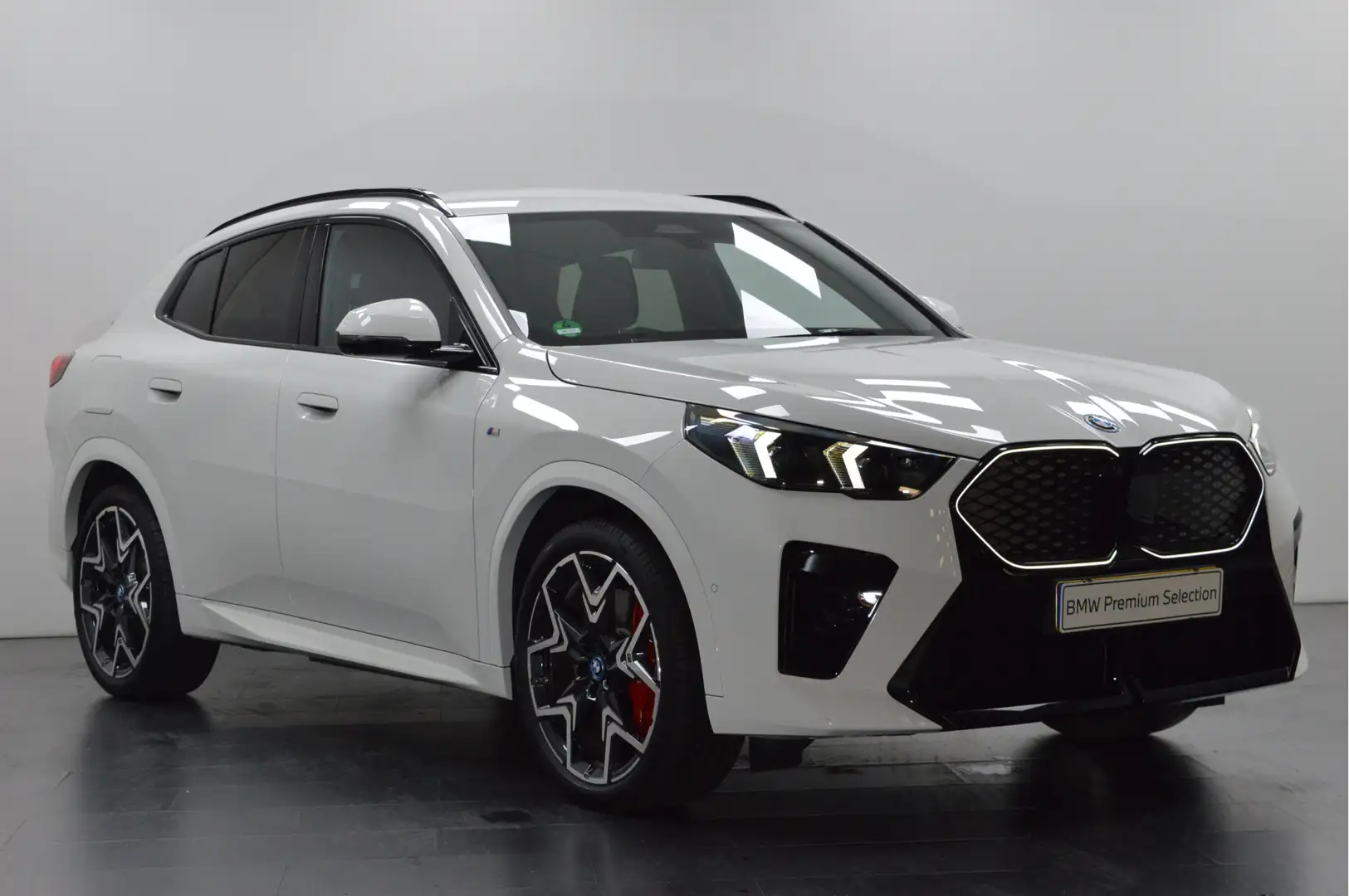 BMW iX2 eDrive20 High Executive M Sport / Sportstoelen / M Bianco - 2