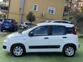 Fiat Panda 1.3 mjt Easy N1 (iva compresa) Bianco - thumbnail 6