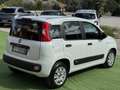 Fiat Panda 1.3 mjt Easy N1 (iva compresa) Bianco - thumbnail 3
