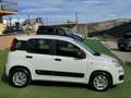 Fiat Panda 1.3 mjt Easy N1 (iva compresa) Bianco - thumbnail 2