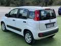 Fiat Panda 1.3 mjt Easy N1 (iva compresa) Bianco - thumbnail 5