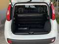 Fiat Panda 1.3 mjt Easy N1 (iva compresa) Bianco - thumbnail 13