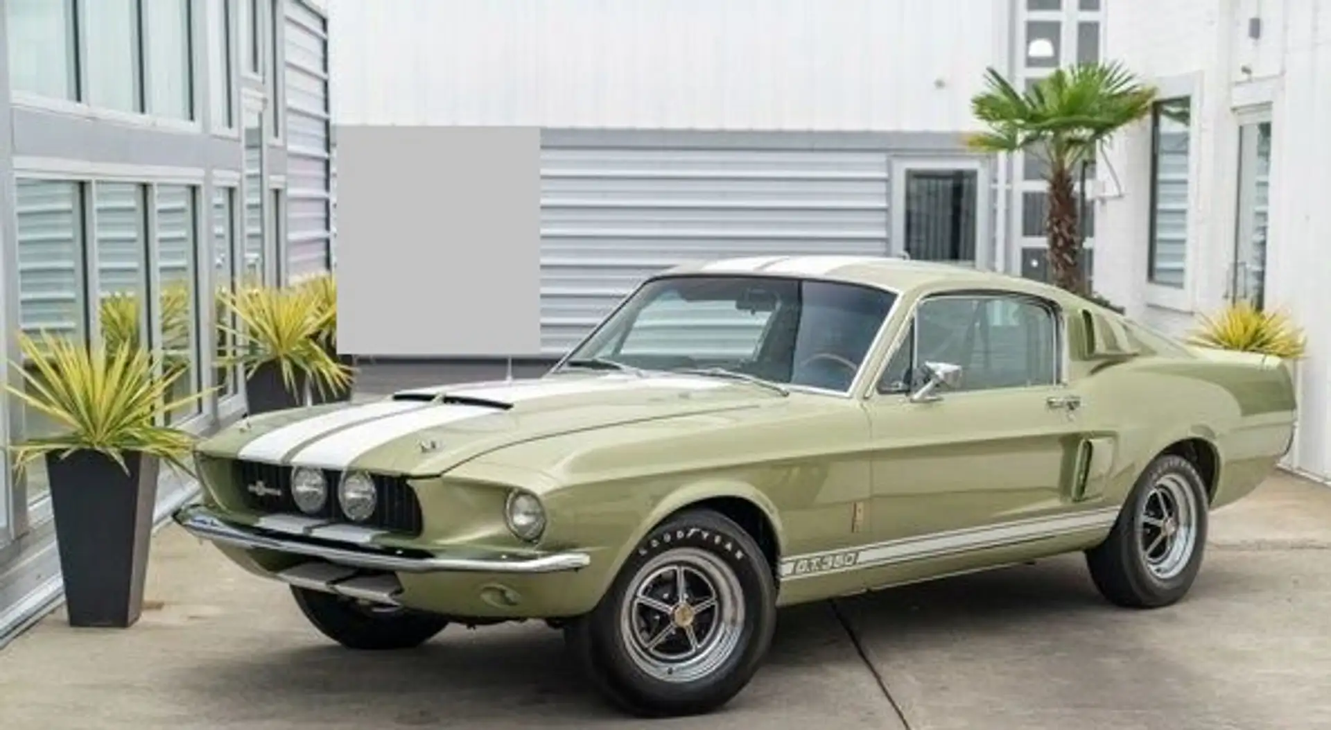 Ford Mustang Shelby GT350 - 1
