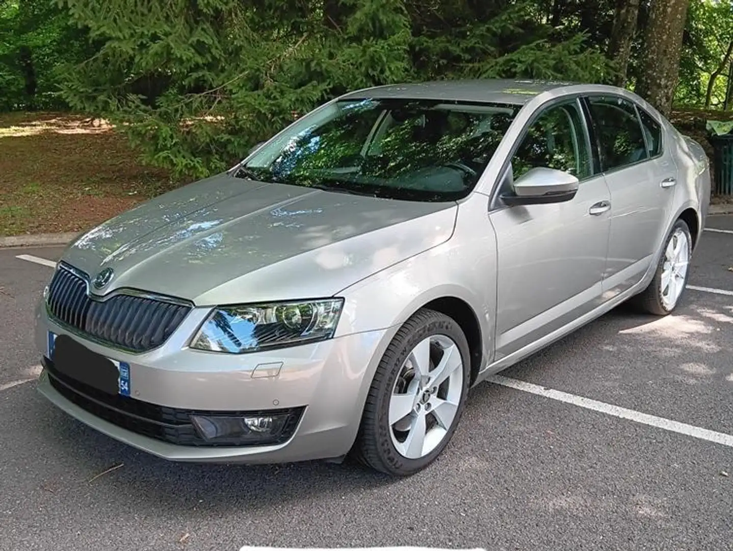 Skoda Octavia Octavia 1.8 TSI 180 ch Green Tec Elegance - 1