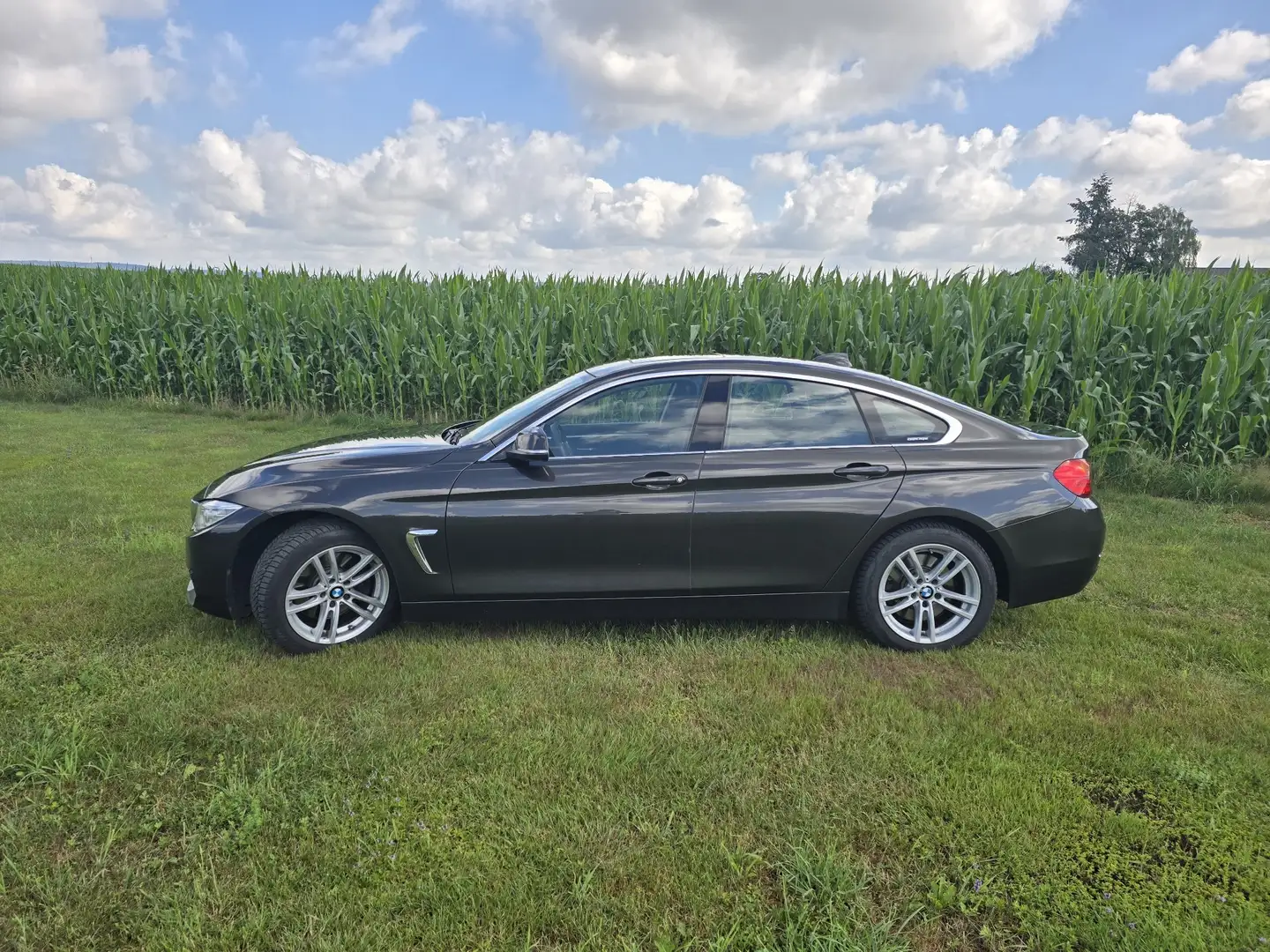 BMW 430 430d Gran Coupe Aut. - 2